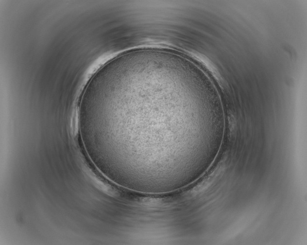 X0000112781371200908271654