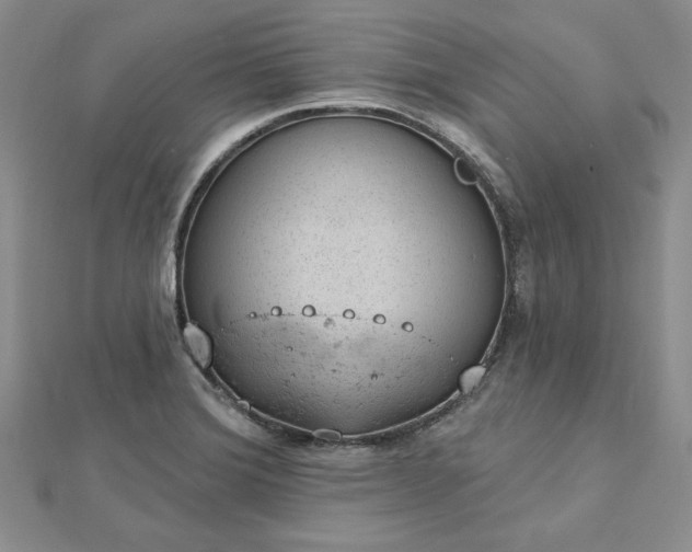 X0000112781372200908271654