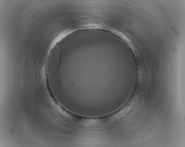 X0000112781373200908271654