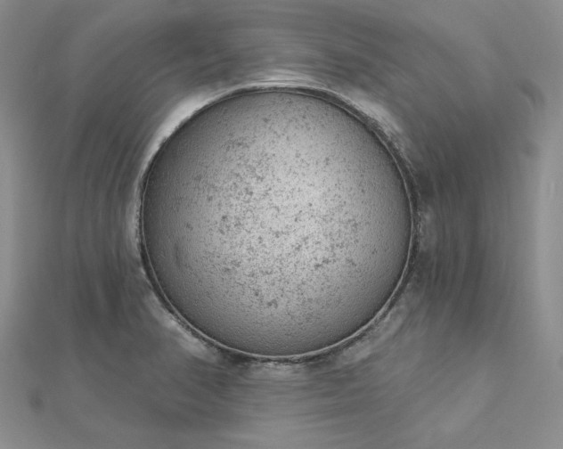 X0000112781374200908271654