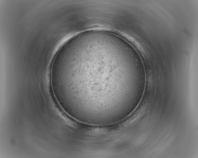 X0000112781375200908271654