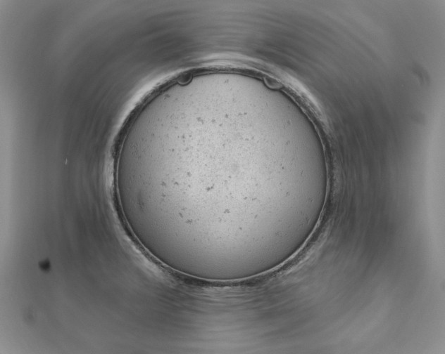 X0000112781376200908271654