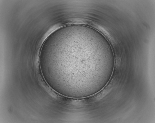 X0000112781378200908271654