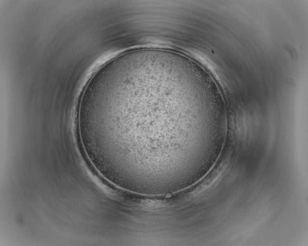 X0000112781379200908271654