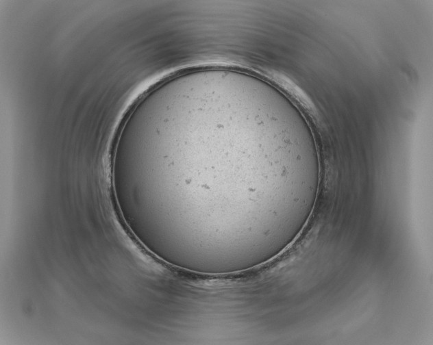 X0000112781380200908271654