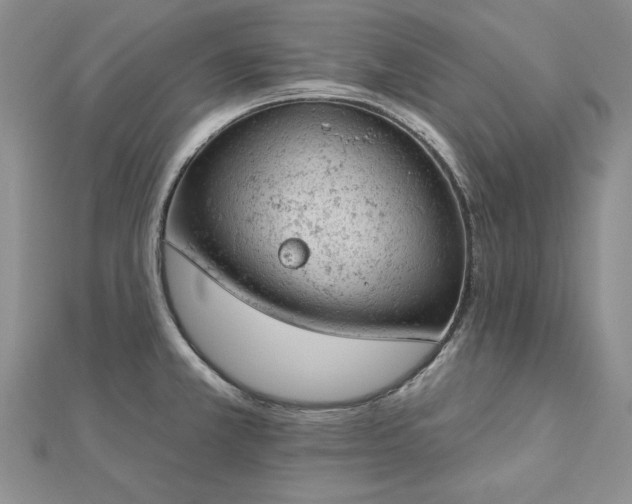 X0000112781381200908271654