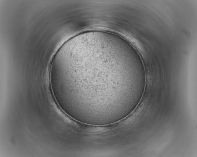 X0000112781382200908271654