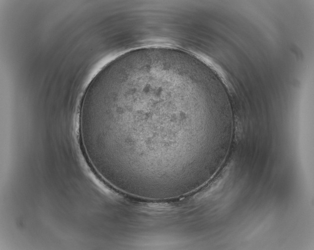 X0000112781383200908271654