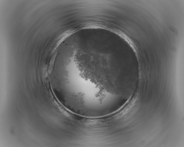 X0000112781385200908271654