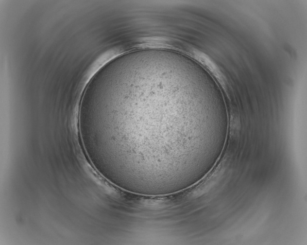 X0000112781386200908271654