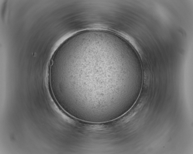 X0000112781387200908271654