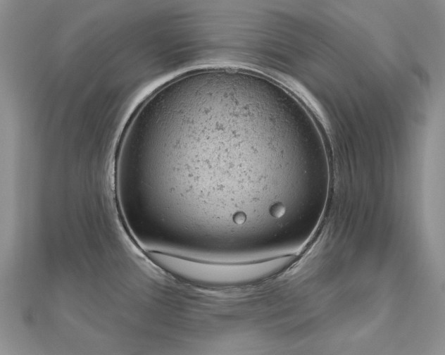 X0000112781388200908271654