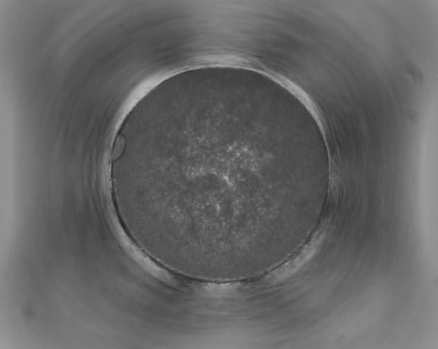 X0000112781389200908271654