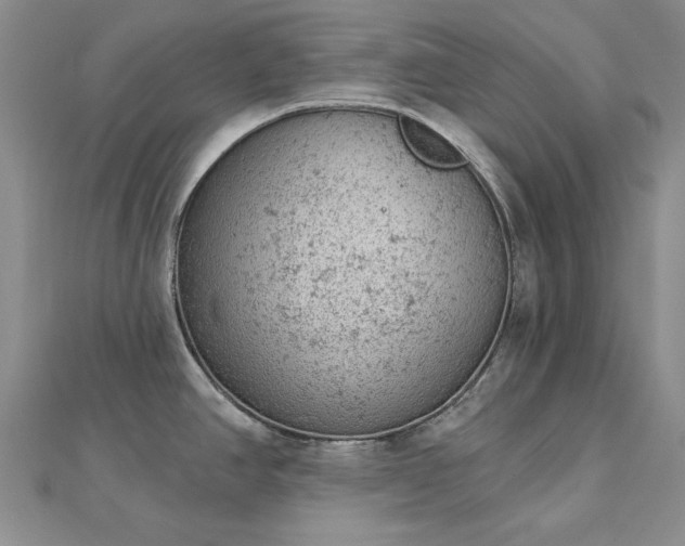 X0000112781390200908271654