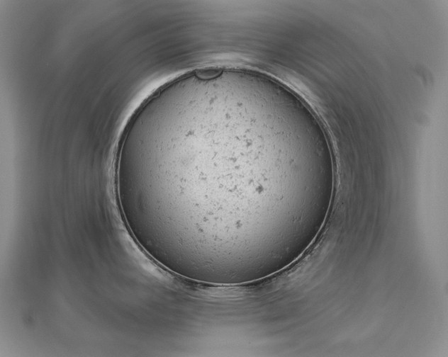 X0000112781392200908271654