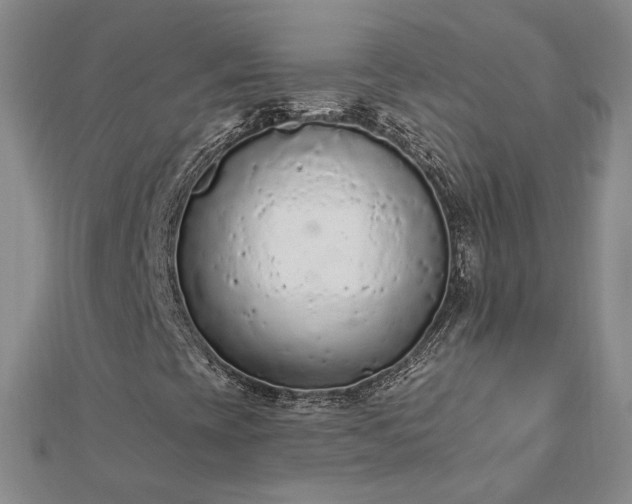 X0000112781393200908271653