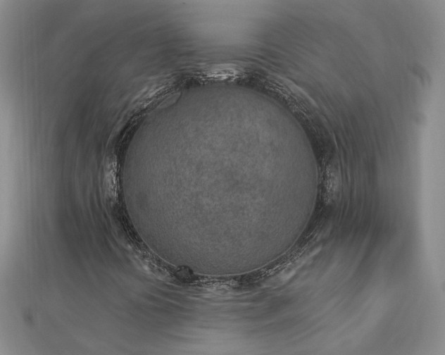 X0000112781394200908271653