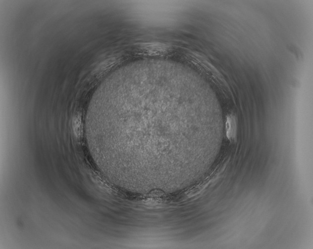 X0000112781395200908271653