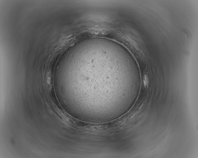 X0000112781396200908271653