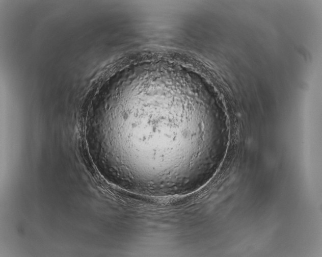 X0000112781397200908271653