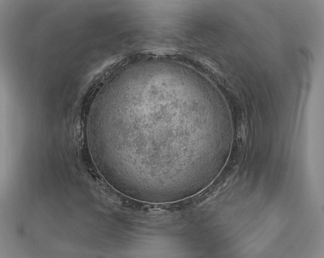 X0000112781398200908271653