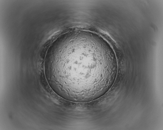 X0000112781399200908271653