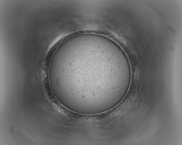 X0000112781400200908271653