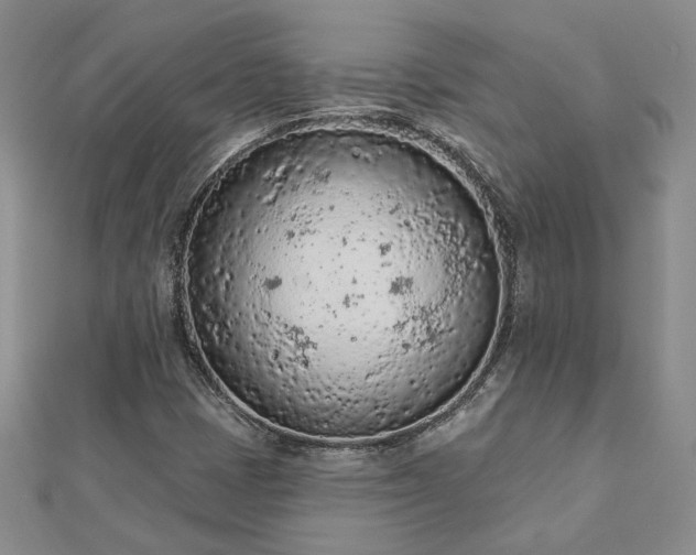 X0000112781401200908271653