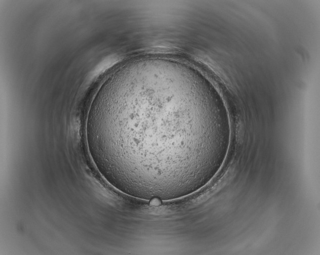 X0000112781402200908271653