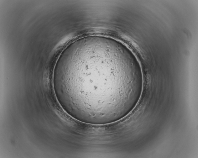 X0000112781403200908271653