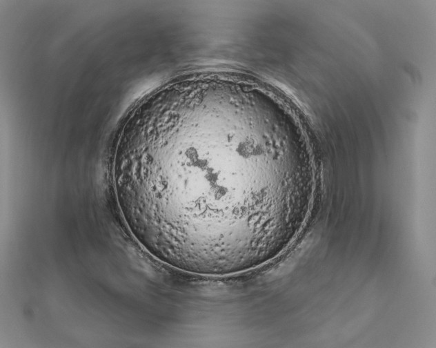 X0000112781405200908271653