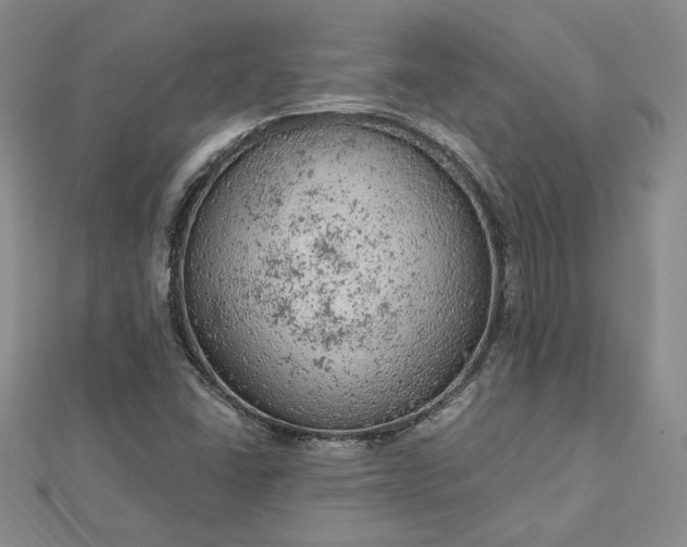 X0000112781406200908271653