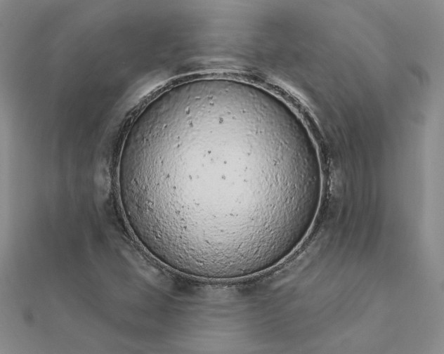 X0000112781407200908271653