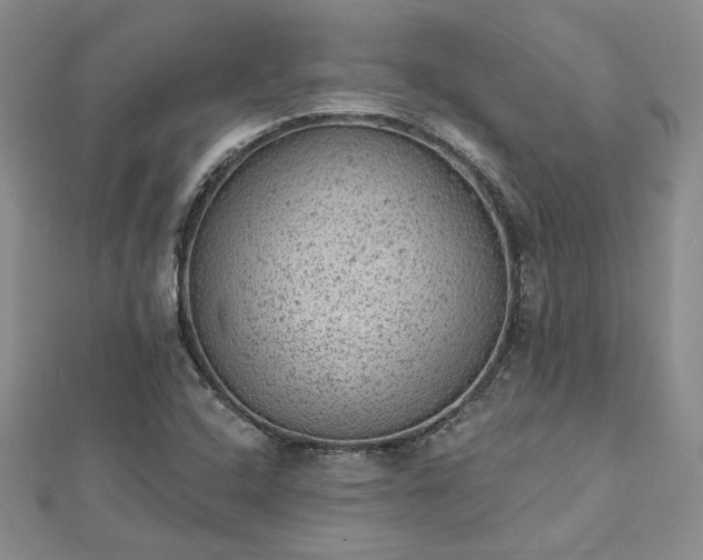 X0000112781408200908271653