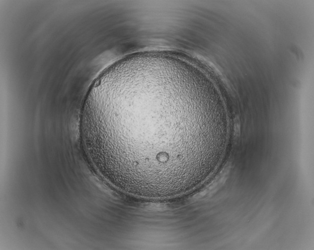 X0000112781409200908271653