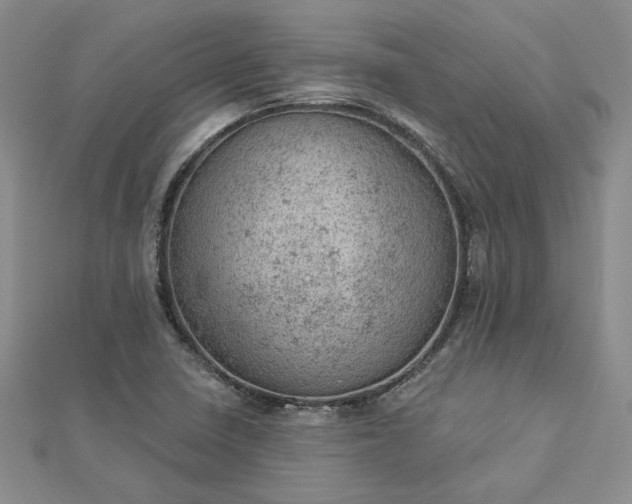 X0000112781410200908271653