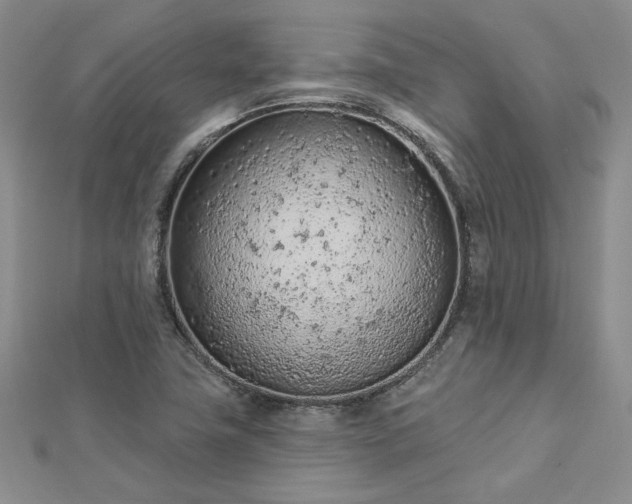 X0000112781411200908271653