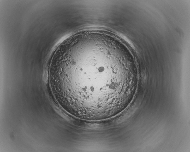 X0000112781413200908271653