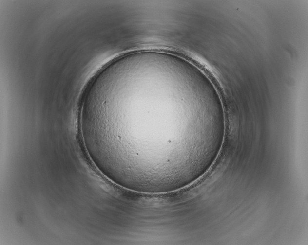 X0000112781415200908271653