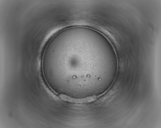 X0000112781416200908271653