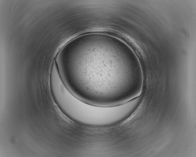 X0000112781417200908271653