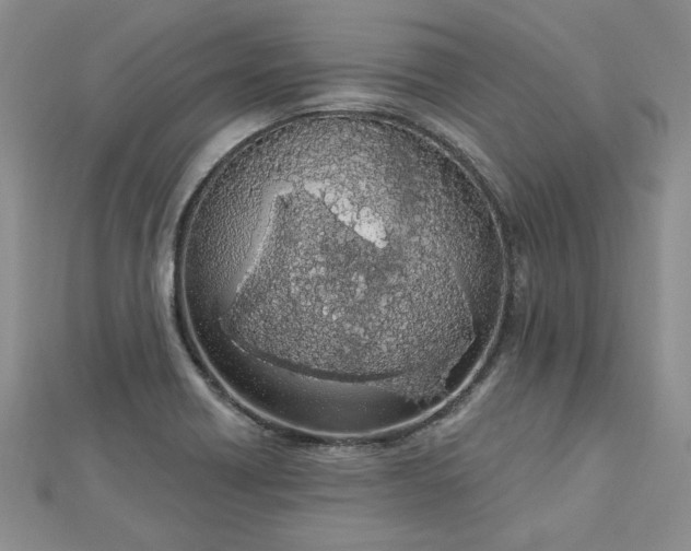 X0000112781418200908271653