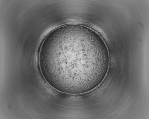 X0000112781419200908271653