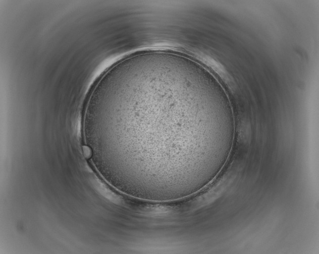 X0000112781420200908271653