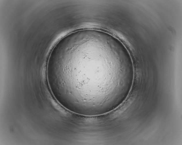 X0000112781421200908271653