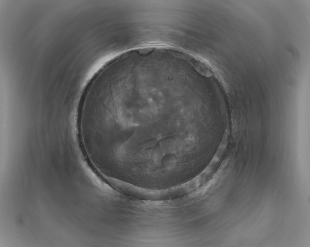 X0000112781422200908271653