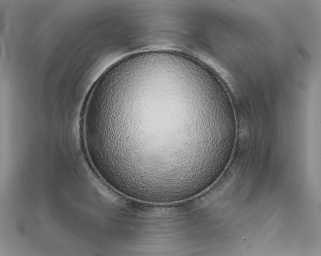 X0000112781423200908271653