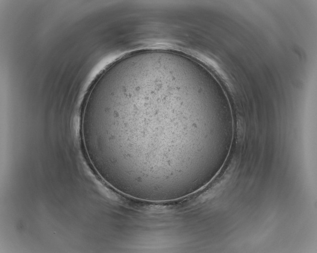 X0000112781424200908271653