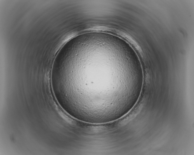 X0000112781425200908271654