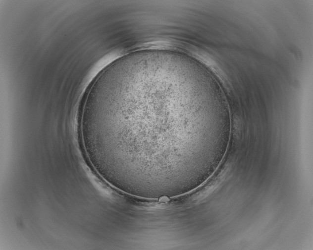 X0000112781426200908271654